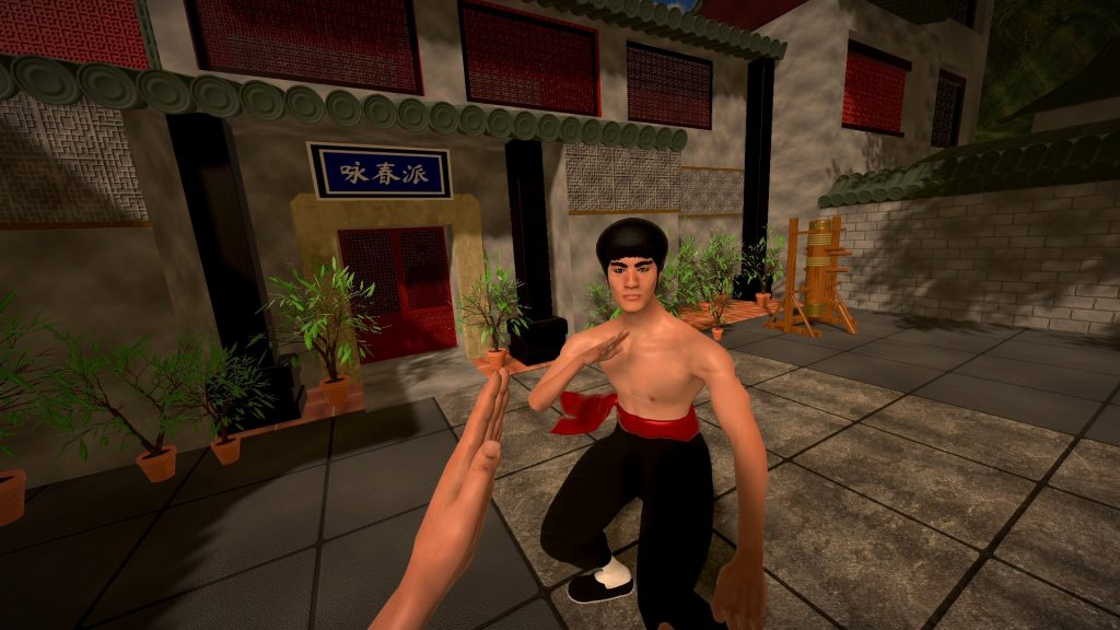 Dragon Fist: VR Kung Fu для Pico 4