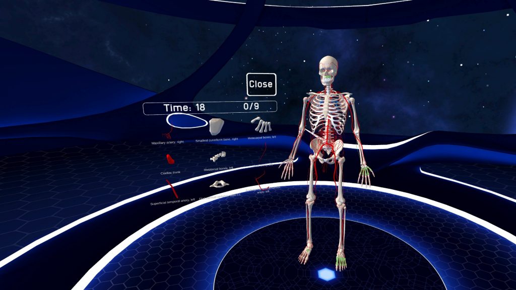 Human Anatomy VR для Pico 4