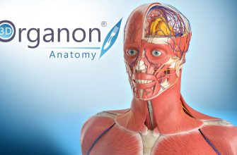 Human Anatomy VR для Pico 4